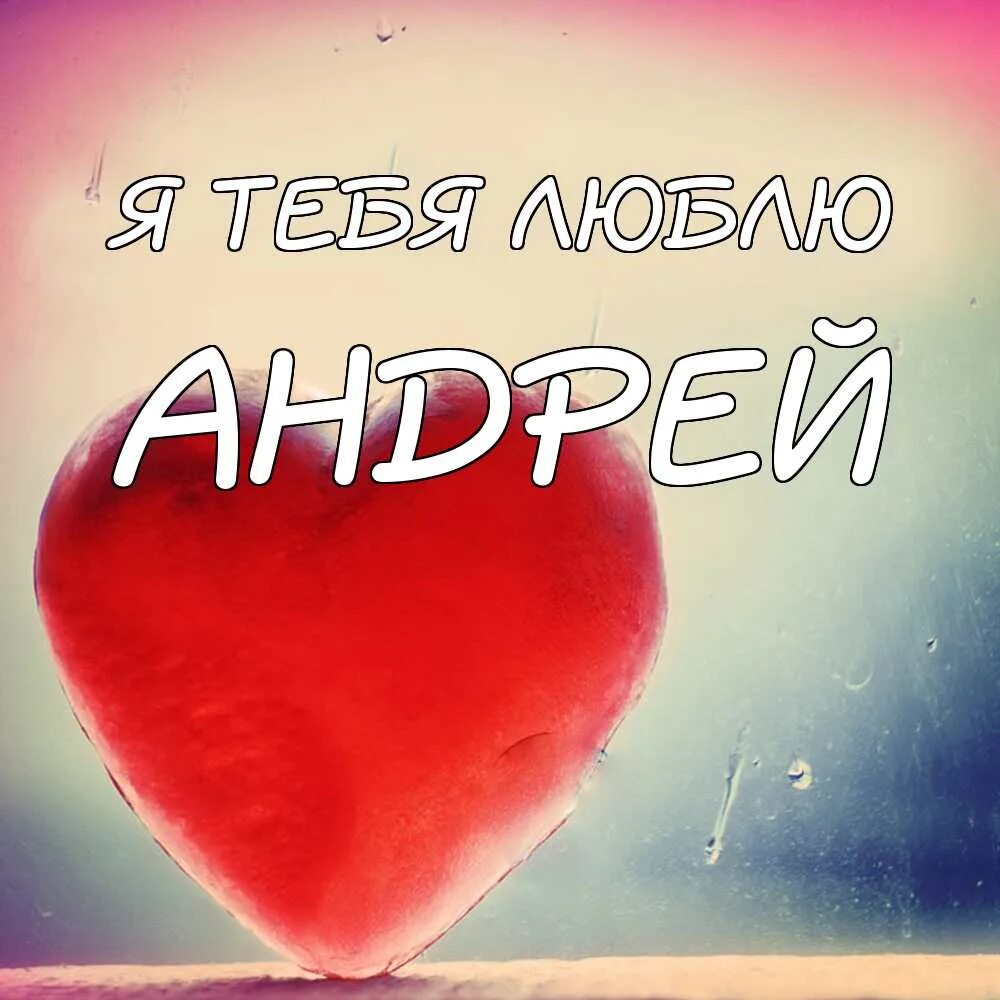 Я тебя люблю. Я люблю тебя любимый. Я люблю Андрея. Andrey love