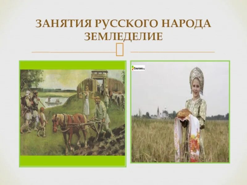 Занятия народов поволжья в 17 веке. Занятия русского народа. Традиционные занятия русских. Традиционныетзанятия русских. Основные занятия русских.