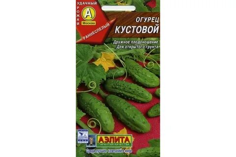 Кустовые огурцы сорта самоопыляемые