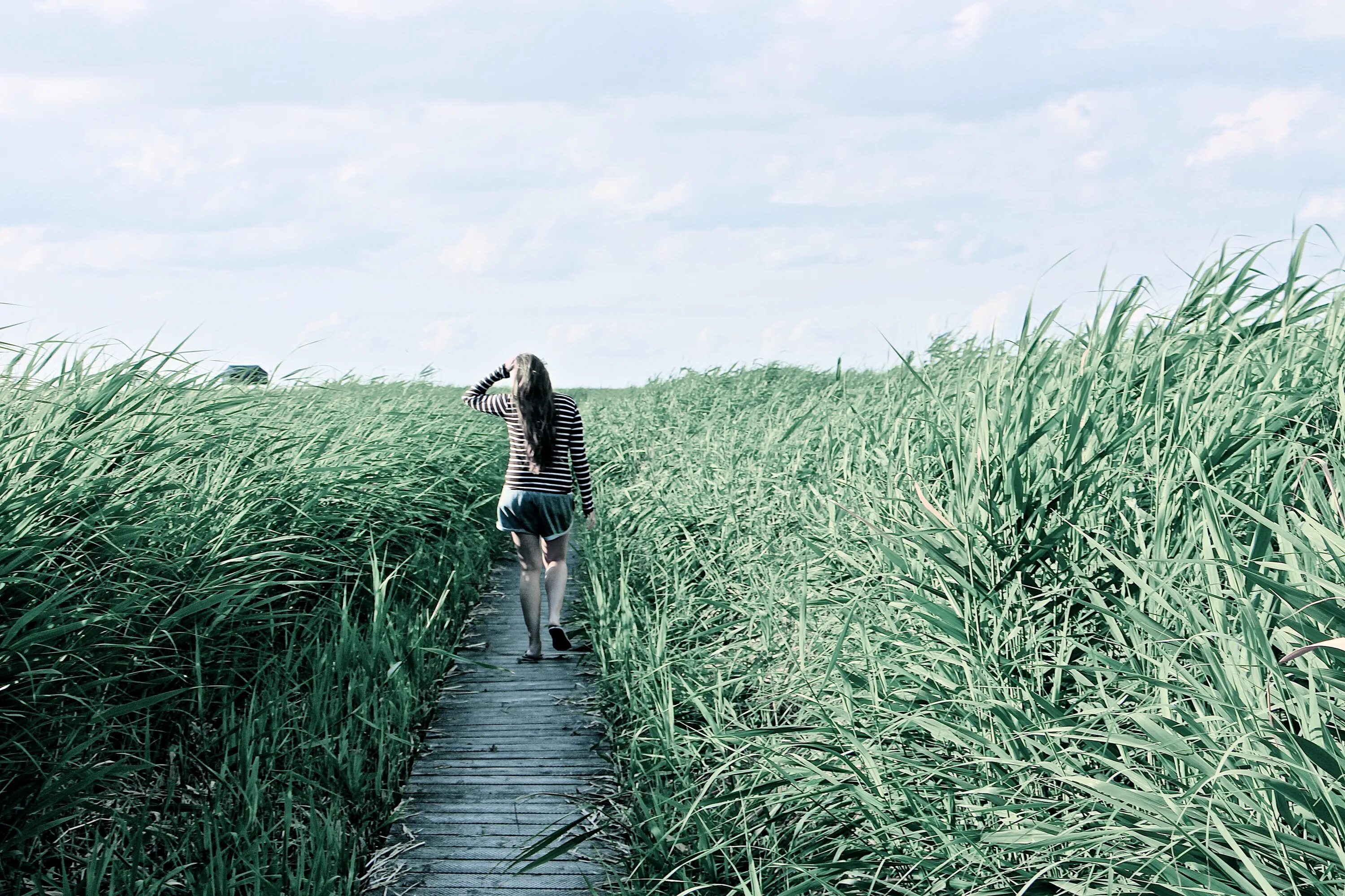 Relaxing walks. Фотосессия в высокой траве. Девушка в высокой траве. Высокая трава. Высокая трава фото.