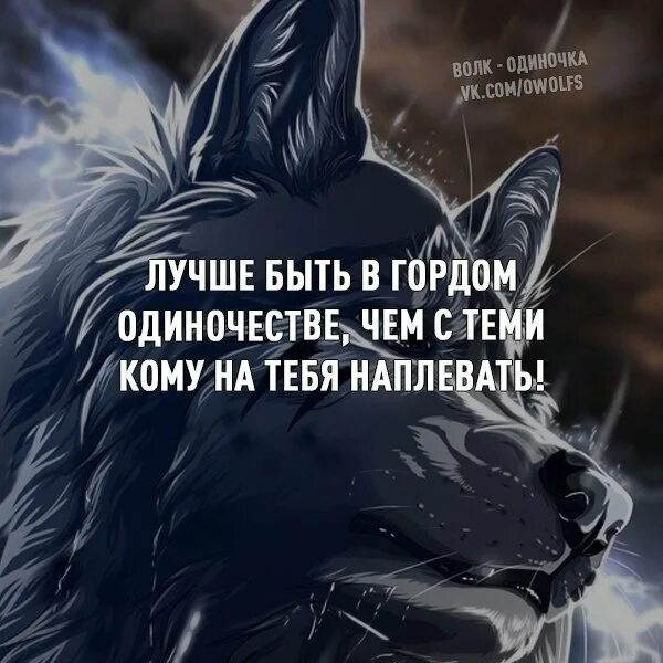 Одинокий волк цитаты. Волки цитаты в картинках со смыслом. Цитаты про волков и людей. Циат ы про одинокого волка. Одинокий волк фразы.