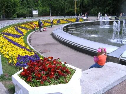 Сокольники парк в выходные