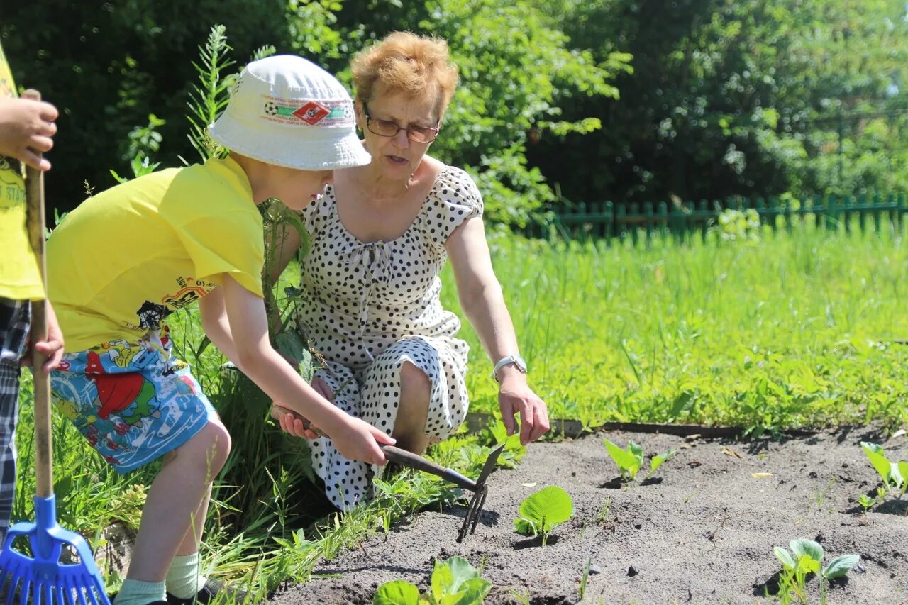 Хочу маму на даче. Женщина в огороде. Лето огород. Полоть грядки. Бабы в огороде.