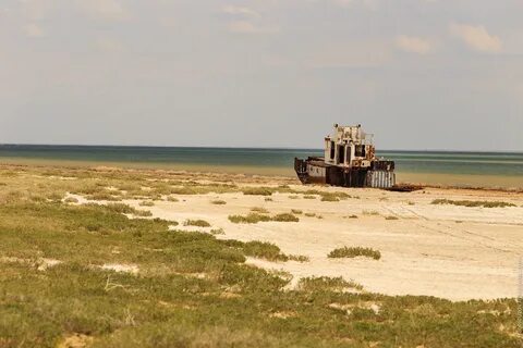 Арал теңізі