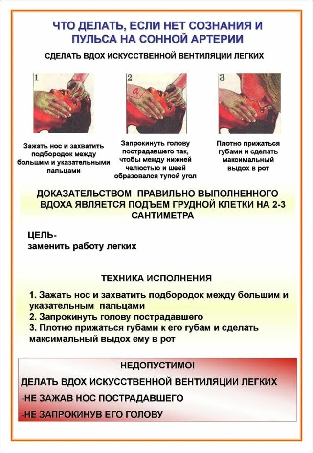 Как определить наличие пульса на сонной артерии. Определение пульса на сонной артерии. определение пульса у пострадавшего. как определить пульс на сонной артерии. как определить пульс пострадавшего.