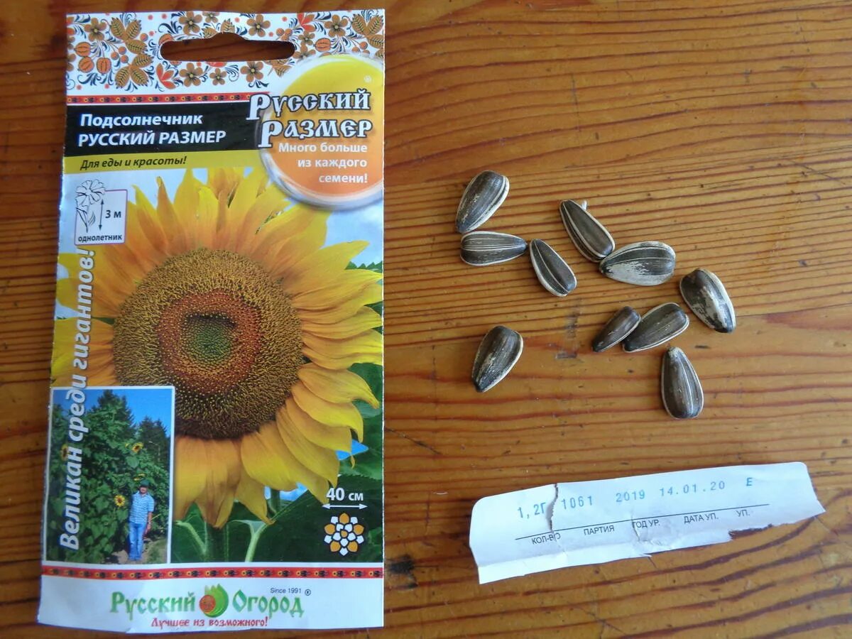 Русские семечки. Семечки бренды. Семечки русский орех. Подсолнечник масличный и грызовой. Семечки производители.