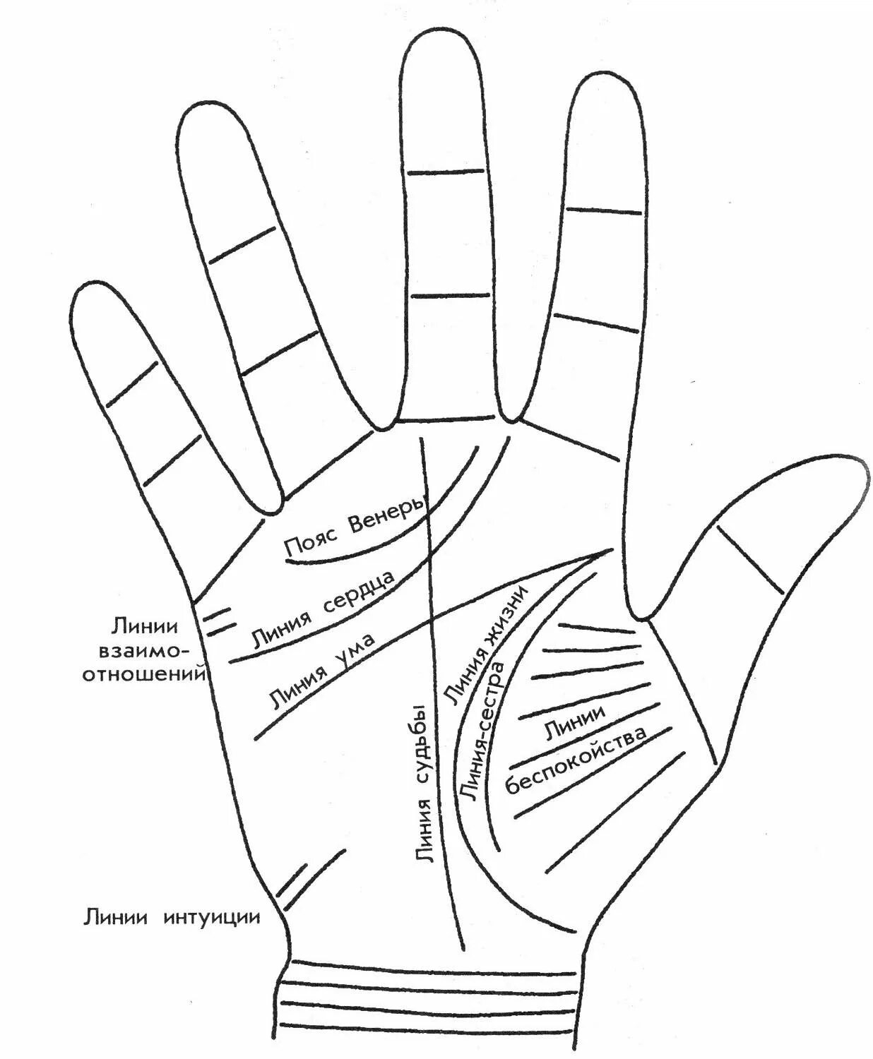 Линия судьбы на руке значение. Хиромантия что означают линии на ладони. Схема линий для хиромантии. Основные линии на ладони в хиромантии. Хиромантия линия жизни на руке.