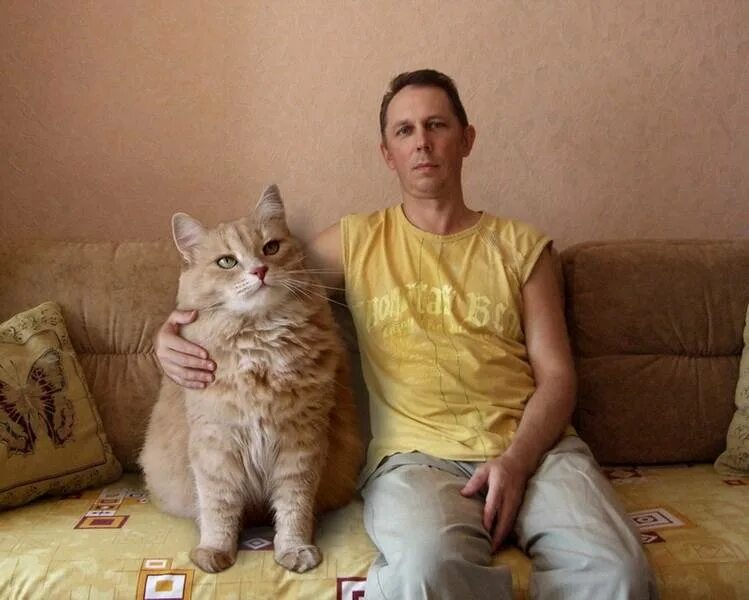 Больше нравится кот. Кошка и хозяин. взрослая кошка. кошки и их хозяева. коты и хозяева.