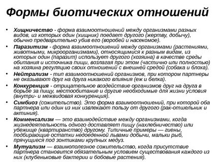 Примеры типов взаимоотношений между организмами