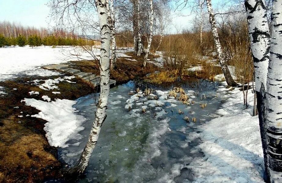 Цветы в снегу. Тает снежок ожил лужок. Весной бывает снег. Растает снег весной. Стих ахматовой перед весной бывают дни такие.