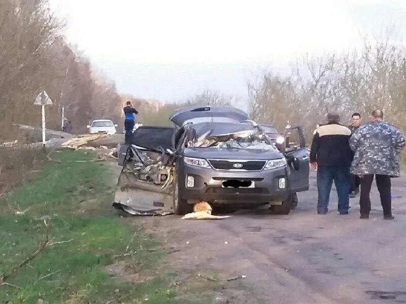 Шкрябино Брянская область. Шкрябино Стародубский район Брянская область. Авария в Стародубском районе.