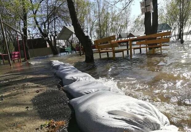 Затопленный левый берег Дона. Вода в Дону поднялась. Уровень воды в Дону. Затопило Левбердон. Уровень воды в дону в павловске