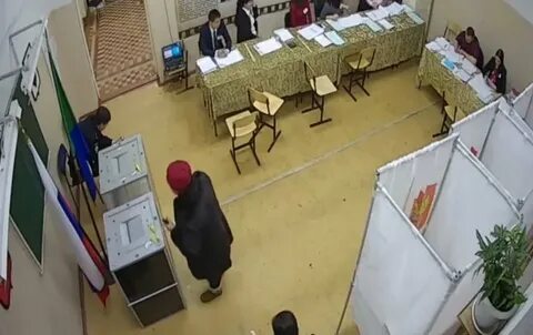 Кто победил на выборах в хабаровском крае