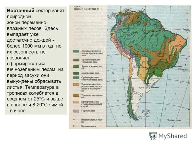 Природные зоны и их основные особенности америки