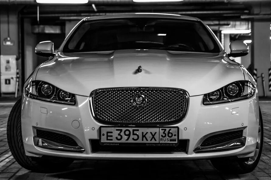 Оверлок jaguar 635d. Ягуар пермь охрана. Ягуар бузулук. Ягуар бузулук. Ягуар бузулук.