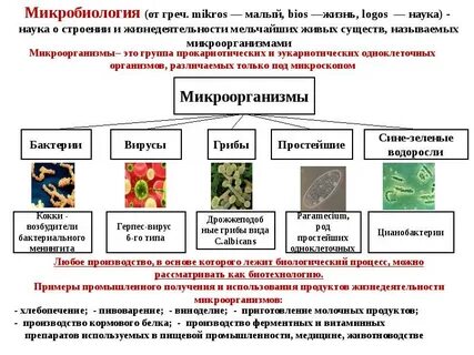 Жизнедеятельность микроорганизмов изучает наука