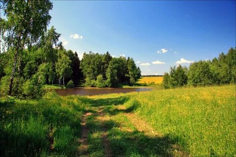 Избранный участок