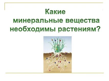 Роль минеральных солей в жизни растений