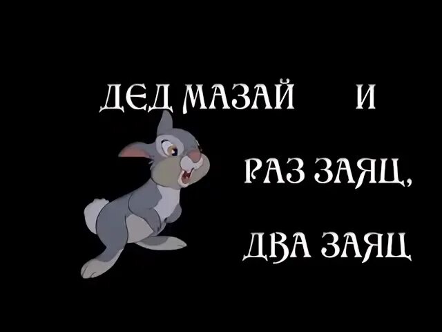Заяц раз заяц 2