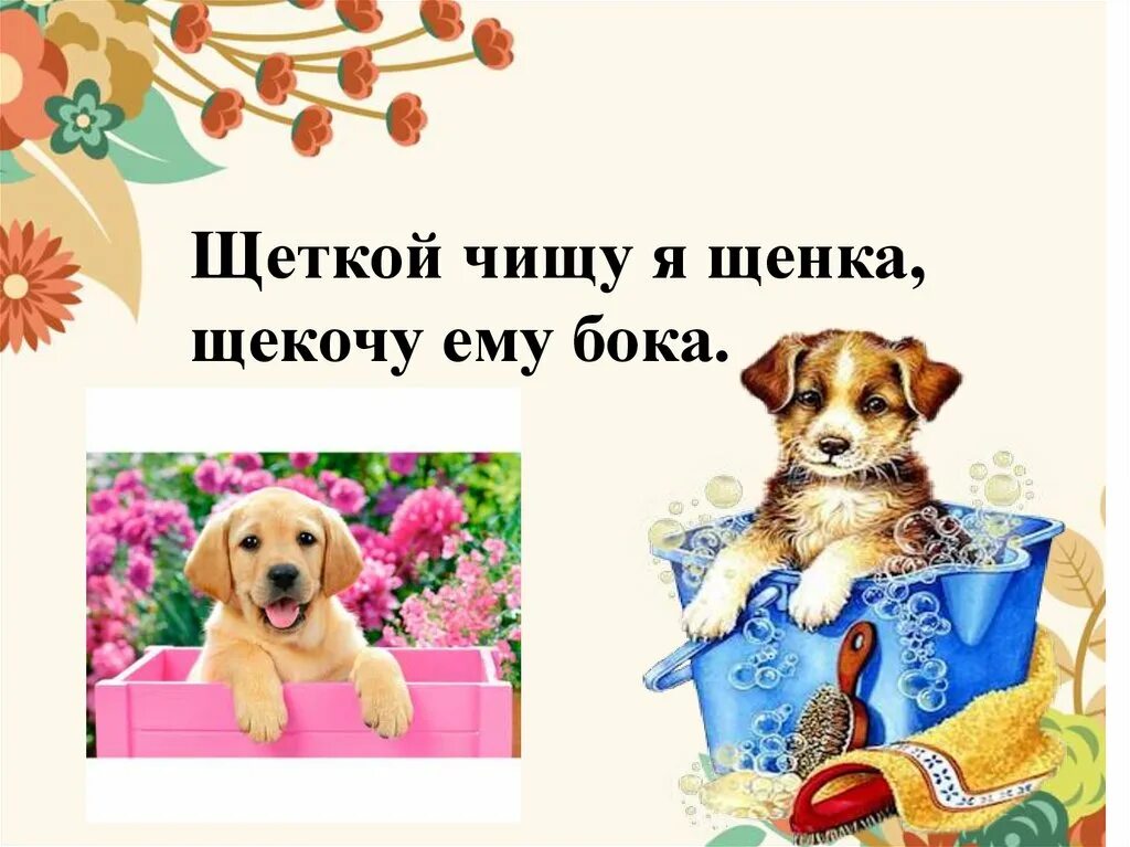 Скороговорки щенята