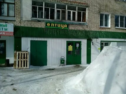 Магазин птица саранск