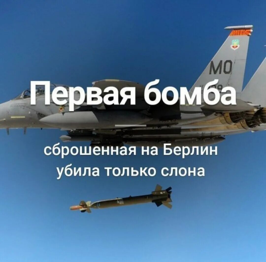 5 фактов которые вы не знали. Факты о которых никто не знает. Это интересно факты. Виноградная улитка. 5 фактов которые вы не знали.