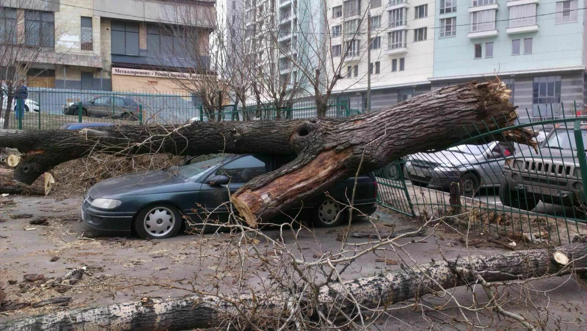 Ветер в москве деревья. Ураган в Москве (2017). Измайлово ураган. Упавшие деревья в Москве. Упавшее дерево.