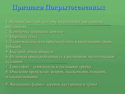 Как легкие приспособлены к выполнению своих функций