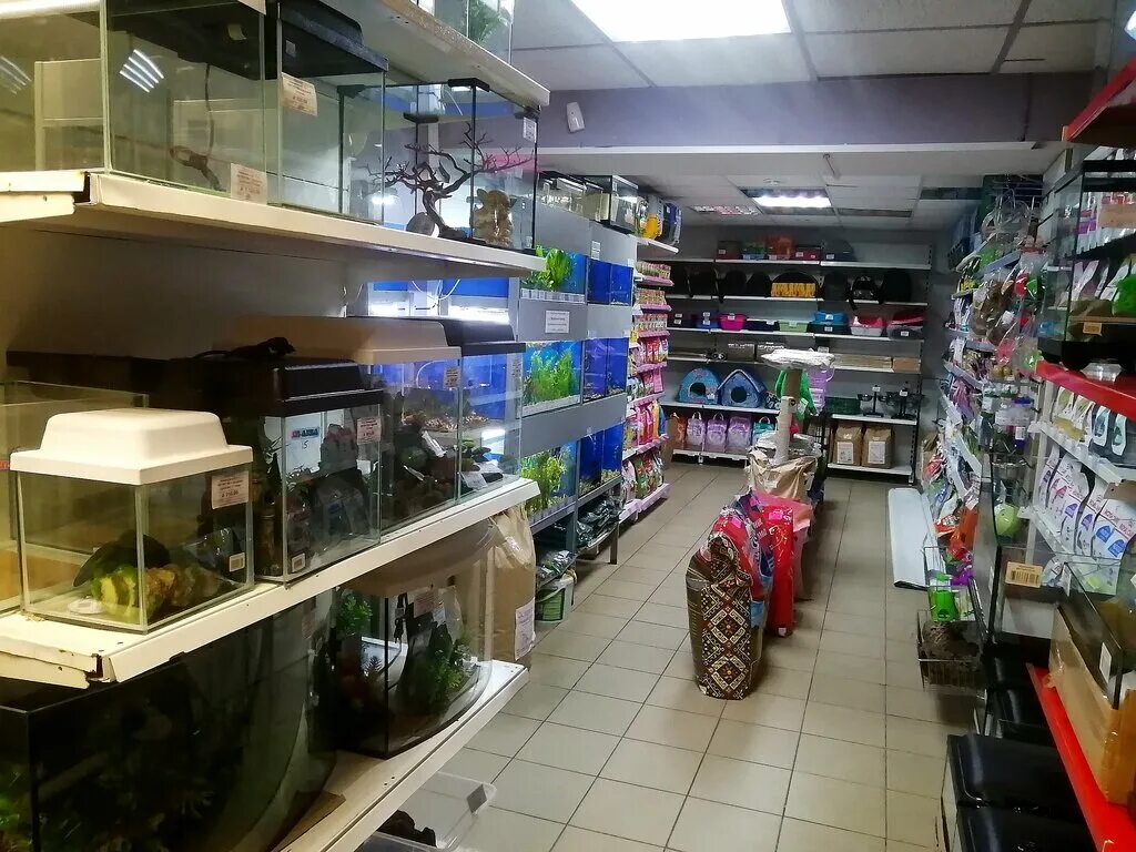 магазин животных в дзержинске. зоомагазин дзержинск нижегородская область. дзержинск ул гайдара 40. южное шоссе 48а зоопторг. зоомагазин дзержинск.