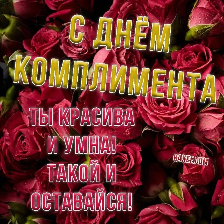 Ответ на комплемент