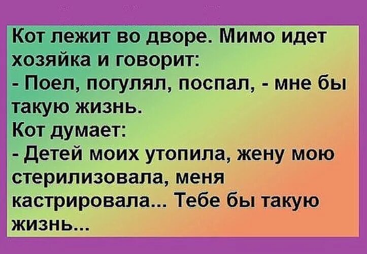 Кот лежит во дворе мимо идет хозяйка. Группа Империя позитива картинки с надписями. В жизни всё относительно - анекдоты. Империя позитива новое.