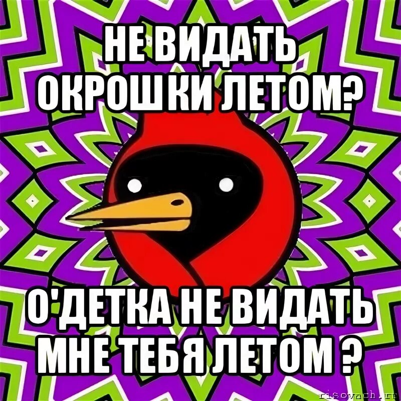 Видать ответить. Омская птица Мем. Не видать мне летом не Анталь. Не видать мне летом ни Анталь ни Ницц. Видать.