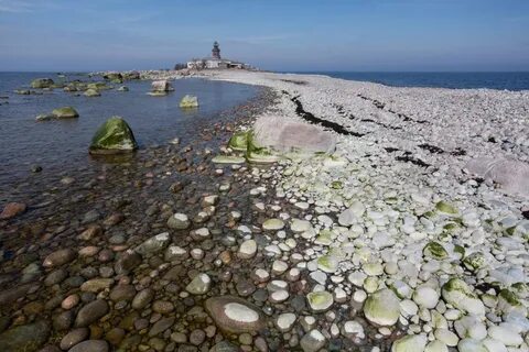 Остров в финском заливе