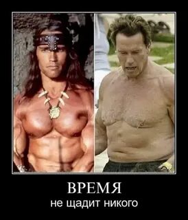 Щадить