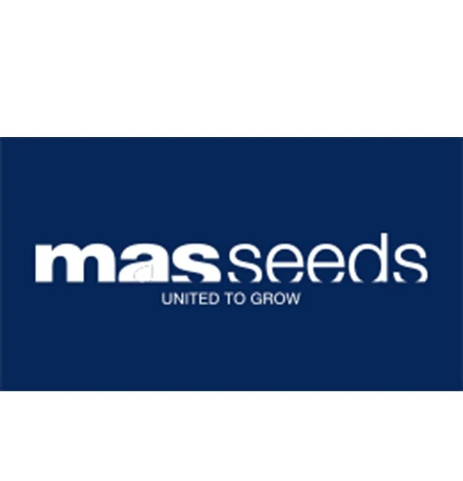 Мас сидс логотип. Mas сайт. Mas сайт. Mas сайт. Visio логотип новый.