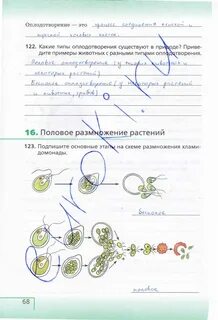 Биология 6 класс страница 16 номер 8
