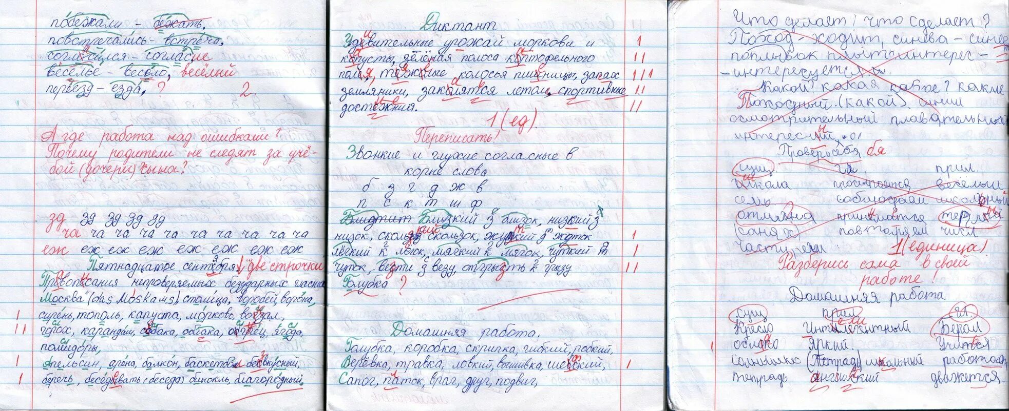 Используя текст и иллюстрации