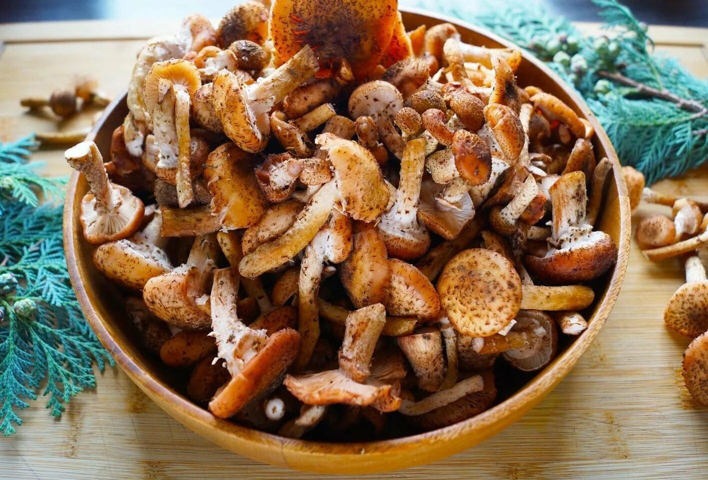 Пошаговый рецепт опят