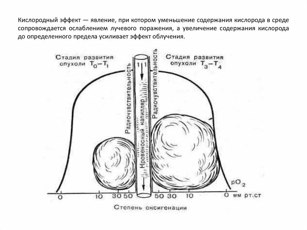 Кислородный эффект ионизирующего излучения. Влияние кислорода. Влияние кислорода на качество. Влияние концентрации кислорода на человека. При какой концентрации кислорода человек теряет сознание.