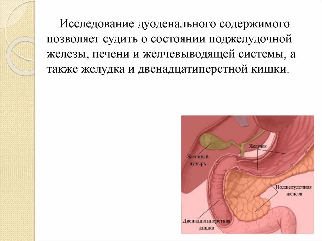 Боли бок при панкреатите. Боль поджелудочной железы. Самопереваривание поджелудочной железы. Болит поджелудочная железа.