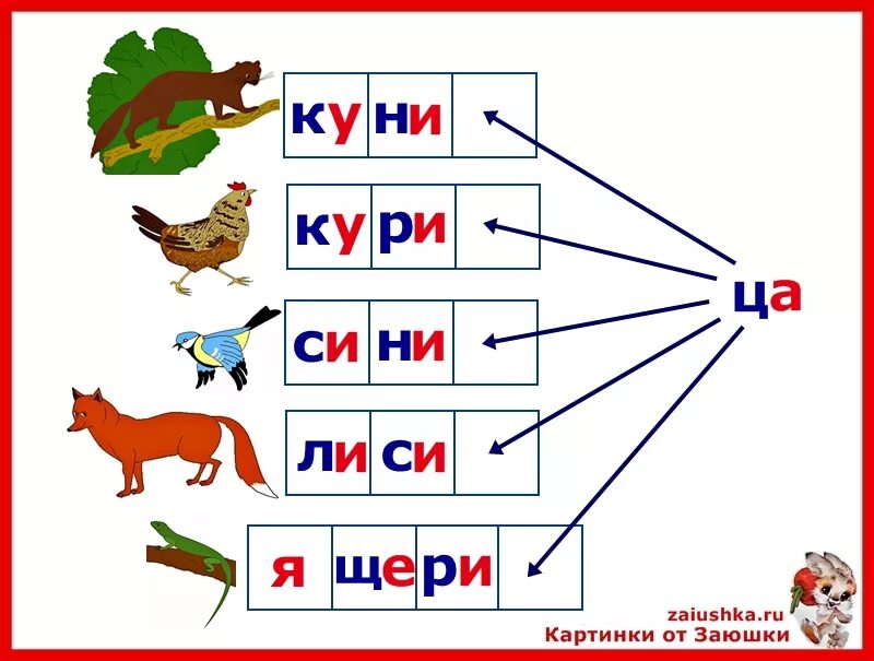 Чтение слогов с буквой ц. Чтение с буквой ц для дошкольников. Карточки слоги. Читаем слоги с буквой ц. Слоги слова знание