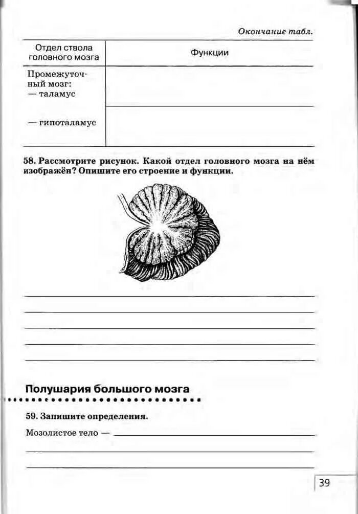 Биология 8 сонин читать. Рабочая тетрадь по биологии анатомия. Рабочая тетрадь по биологии 8 класс Сонин.