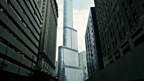 Love building