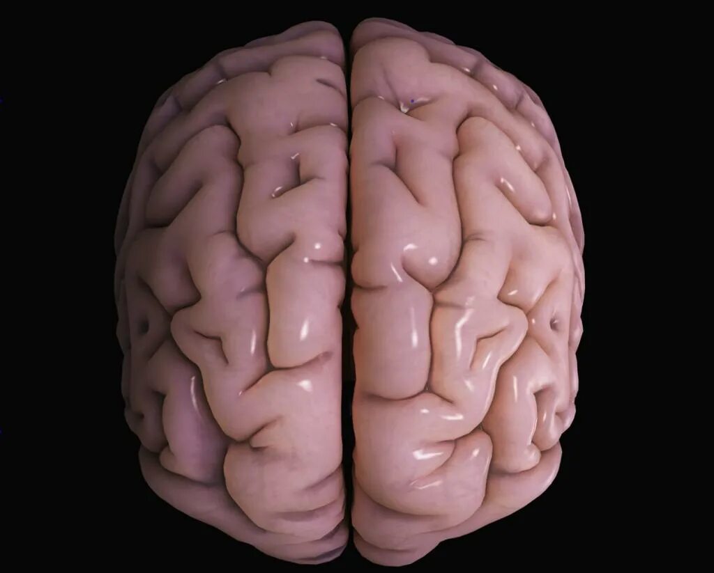 Ирритация коры головного мозга