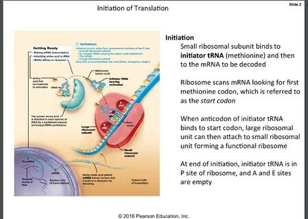 5 translation