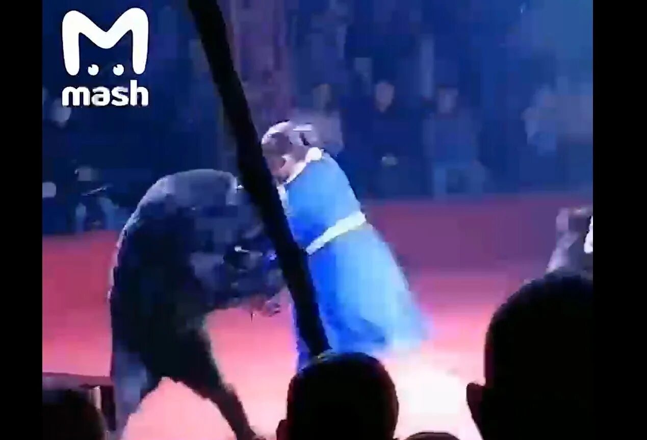 Что случилось в московском цирке. Орёл цирк дрессировщик и медведь. В Орле в цирке медведь напал на дрессировщицу. Несчастный случай в Орле в цирке с медведем. Медведь в цирке.