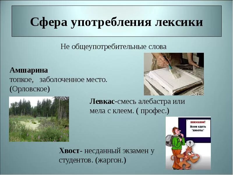 Поиск использования слов. Сферы употребления слов. сферы употребления лексики. сфера употребления. сфера использования текста.