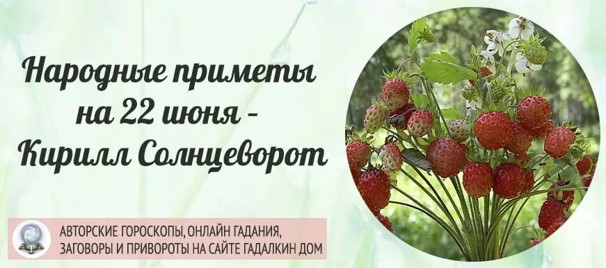 Кириллов день 31. 22 Июня народный календарь. 22 Июня народные приметы. Кириллов день 22 июня. Народный календарь 22 июня Кириллов день.