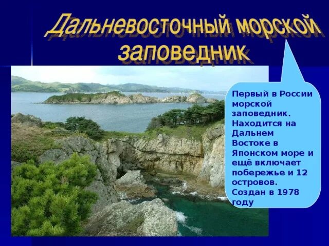 Как называется первый заповедник. Заповедники дальнего востока. дальневосточный морской заповедник. дальний восток презентация.