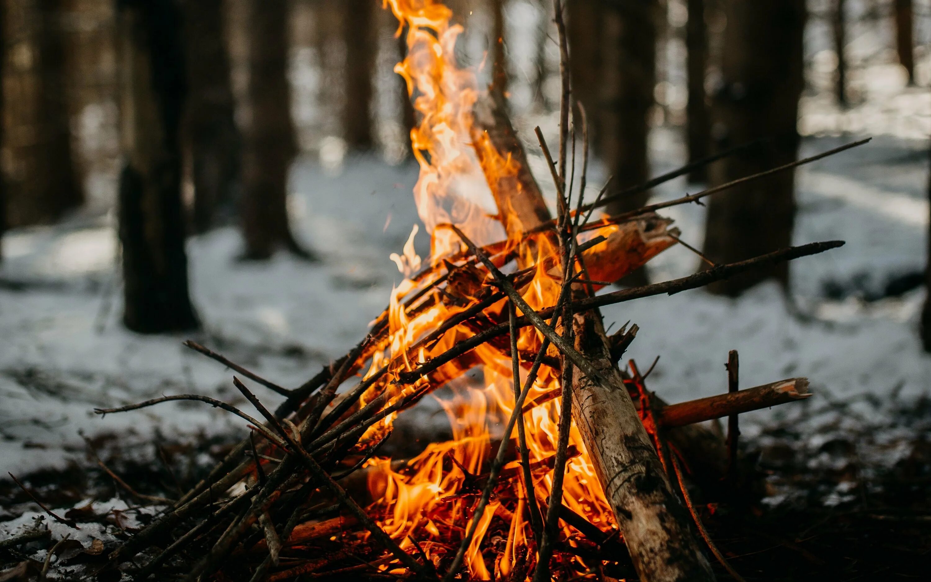 Костер зимой в лесу. Костер на снегу. Костер зимой. Костер зимой в лесу. Лес в огне.